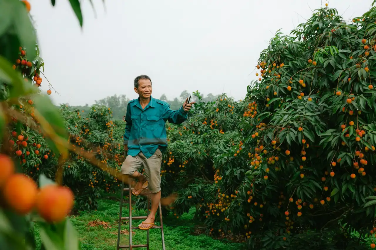 WMS系统与自动化分拣线集成方案设计与实施关键点
