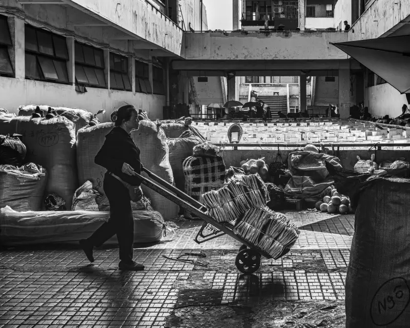 2025年仓储自动化技术趋势：AGV调度与数据可视化的融合实践