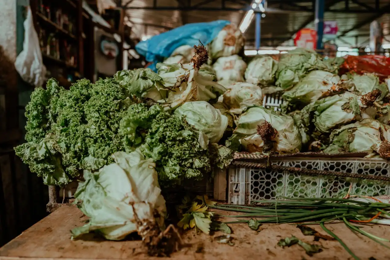 AGV机器人与WMS系统集成方案：提升分拣线效率的关键技术